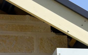 soffit repair Hill Furze